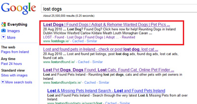 Example of SEO work on www.lostdogs.ie website giving top result on Google Organic Listings for the search term lost dogs